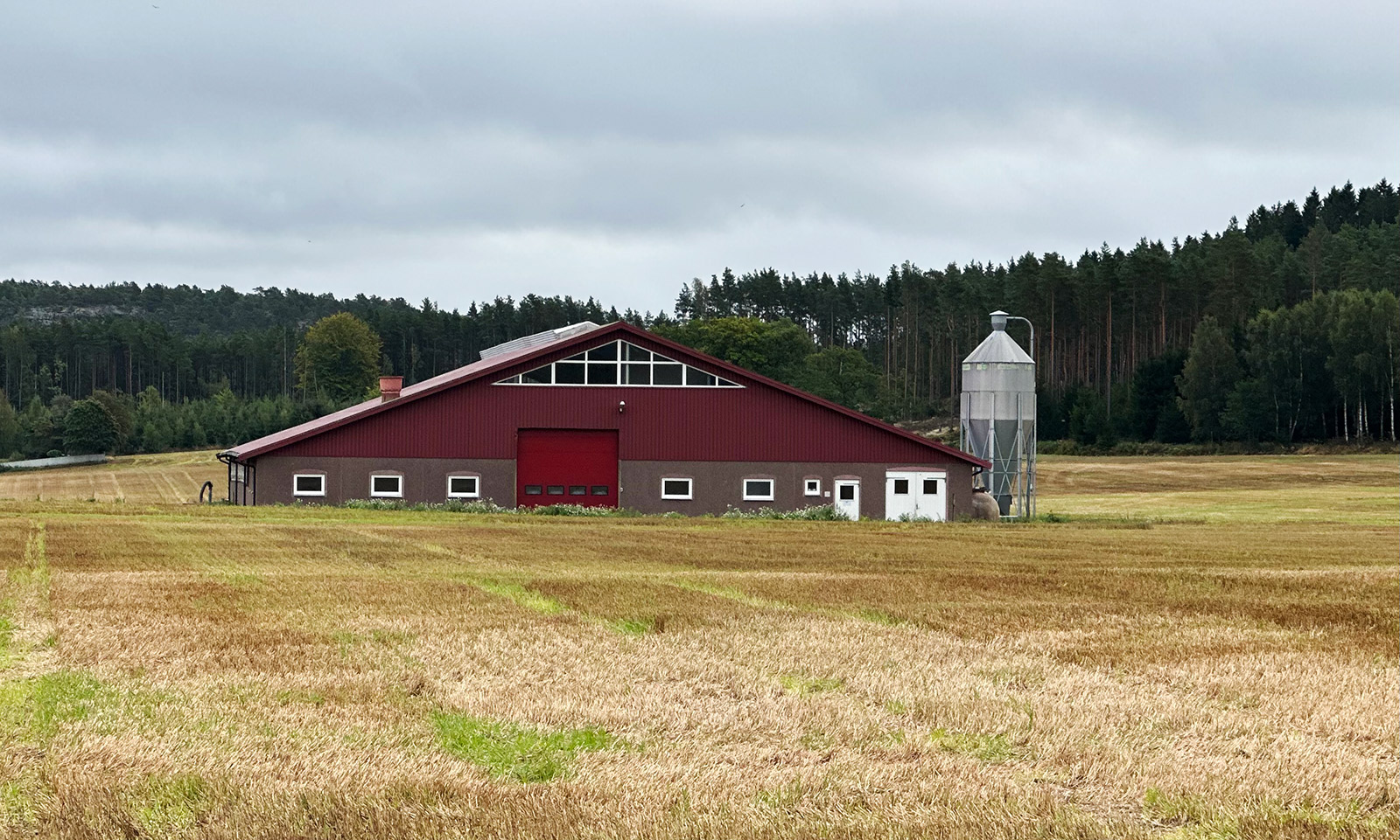 Torsø_1